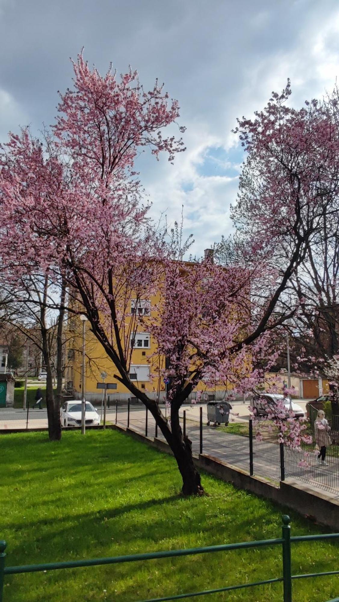Fehervar Cappuccino Center, Ac, Easy Parking Apartment Székesfehérvár