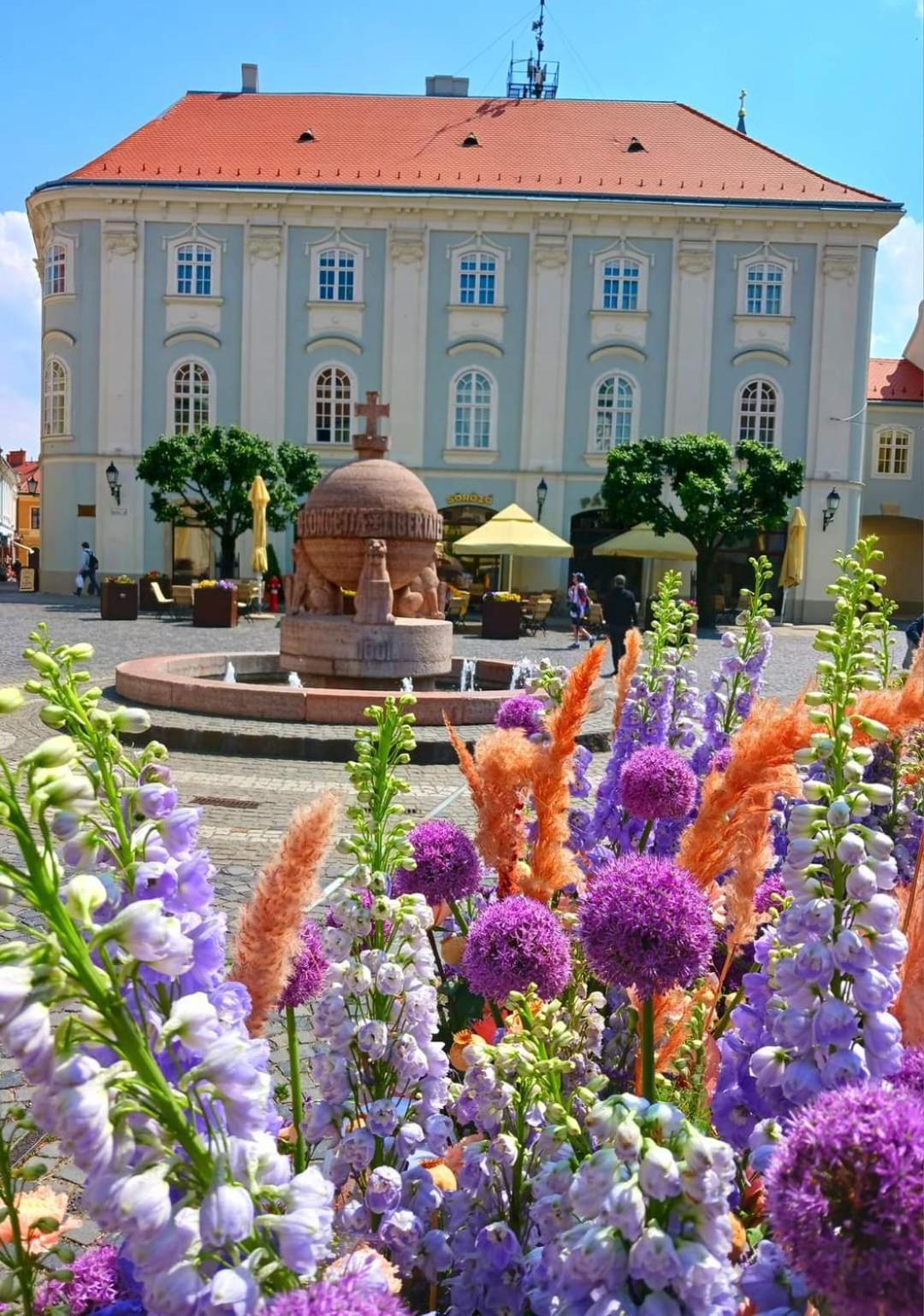 Apartment Fehervar Cappuccino Center, Ac, Easy Parking *