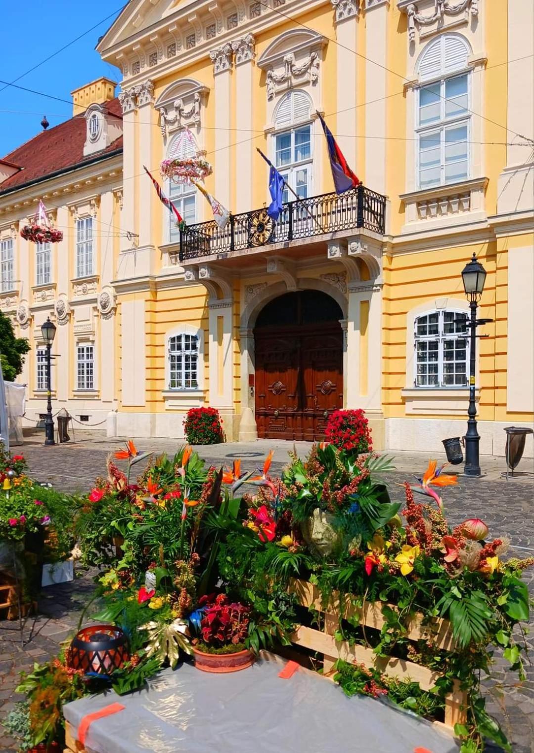 Apartment Fehervar Cappuccino Center, Ac, Easy Parking Székesfehérvár
